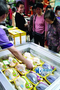 廣州66個檔口開售冰鮮雞，市民反應各異 有人觀望，有人直呼“太貴了！”