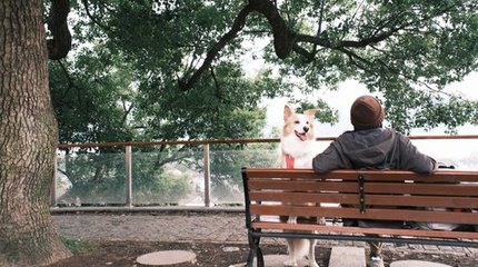 汪汪GO·漫步錢湖 | 尋陶公街市，覽山色湖光
